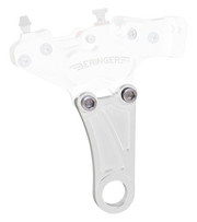 Beringer Brake System