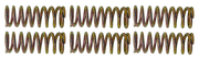 Barnett Clutch Springs – Primary & Clutch