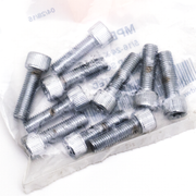 Midwest Acorn Nut Company Chrome Plated Torx Head Screws Assortment – Hardware