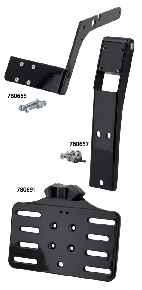 Vity's License Plate Brackets – Electric & Light